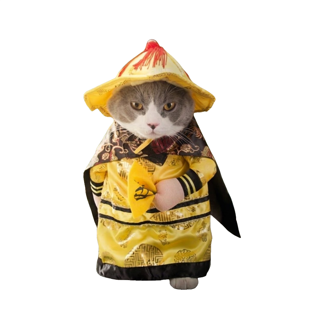 A polite cat in a yellow imperial robe and hat